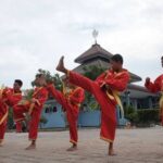 pencak silat