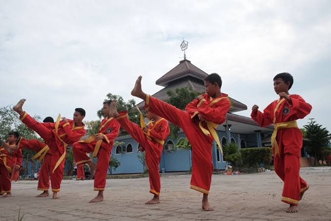 Pencak Silat: Warisan Budaya dan Olahraga Bela Diri Indonesia