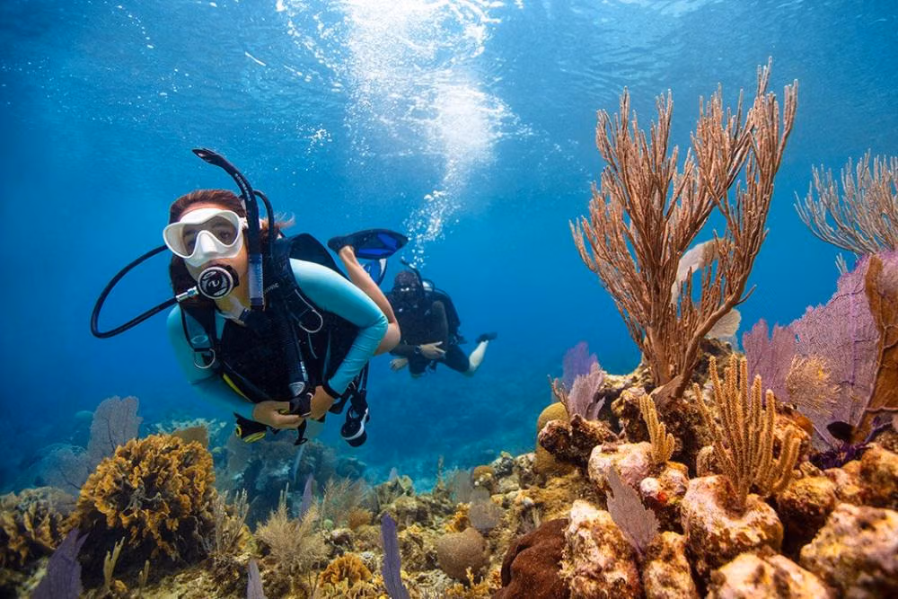 Scuba Diving: Jelajahi Keindahan Bawah Laut yang Tak Terduga